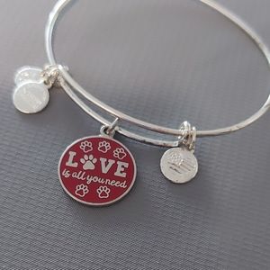 Alex and Ani bracelet